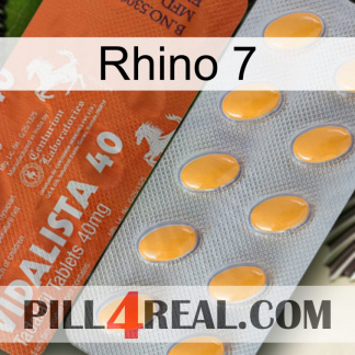 Rhino 7 43